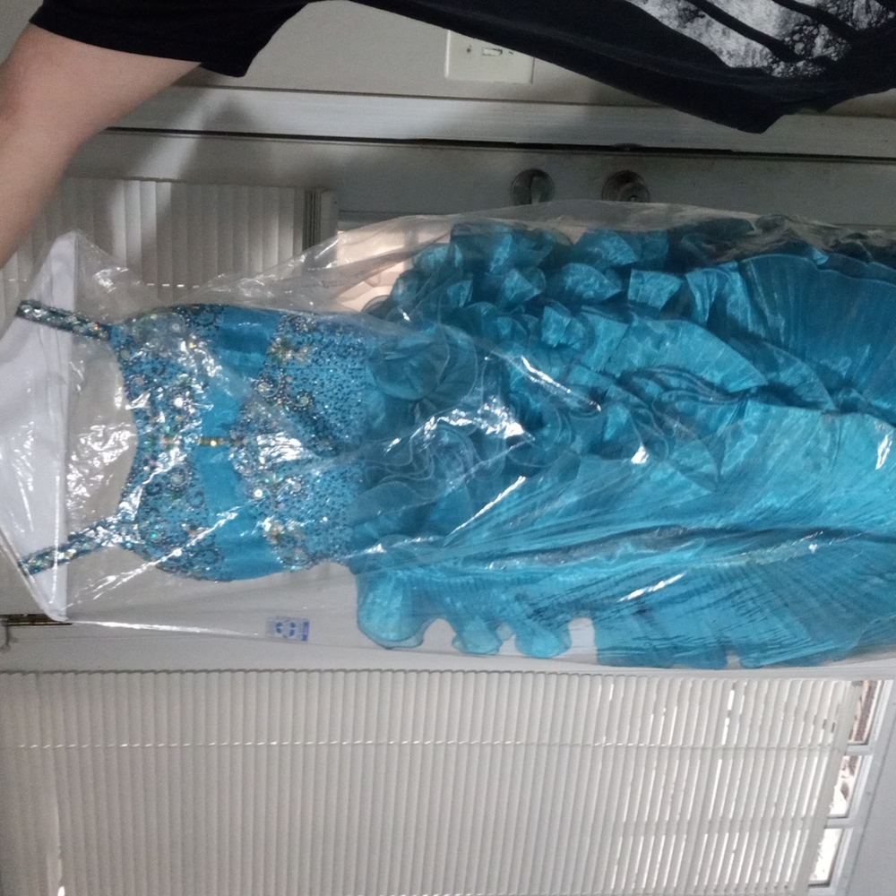 Prefect Angle size 10 pagent dress